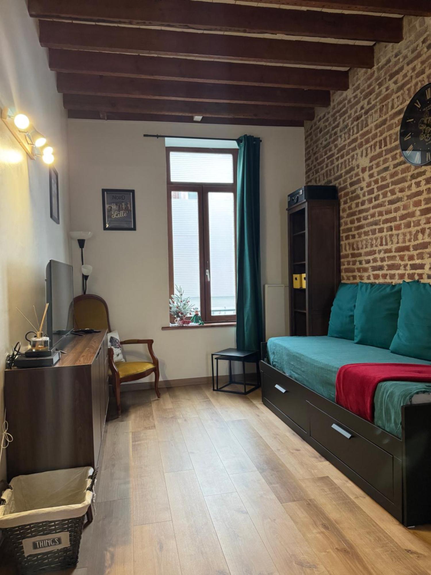 L'Ile Aux Ch'Tis Apartment Lille Ngoại thất bức ảnh