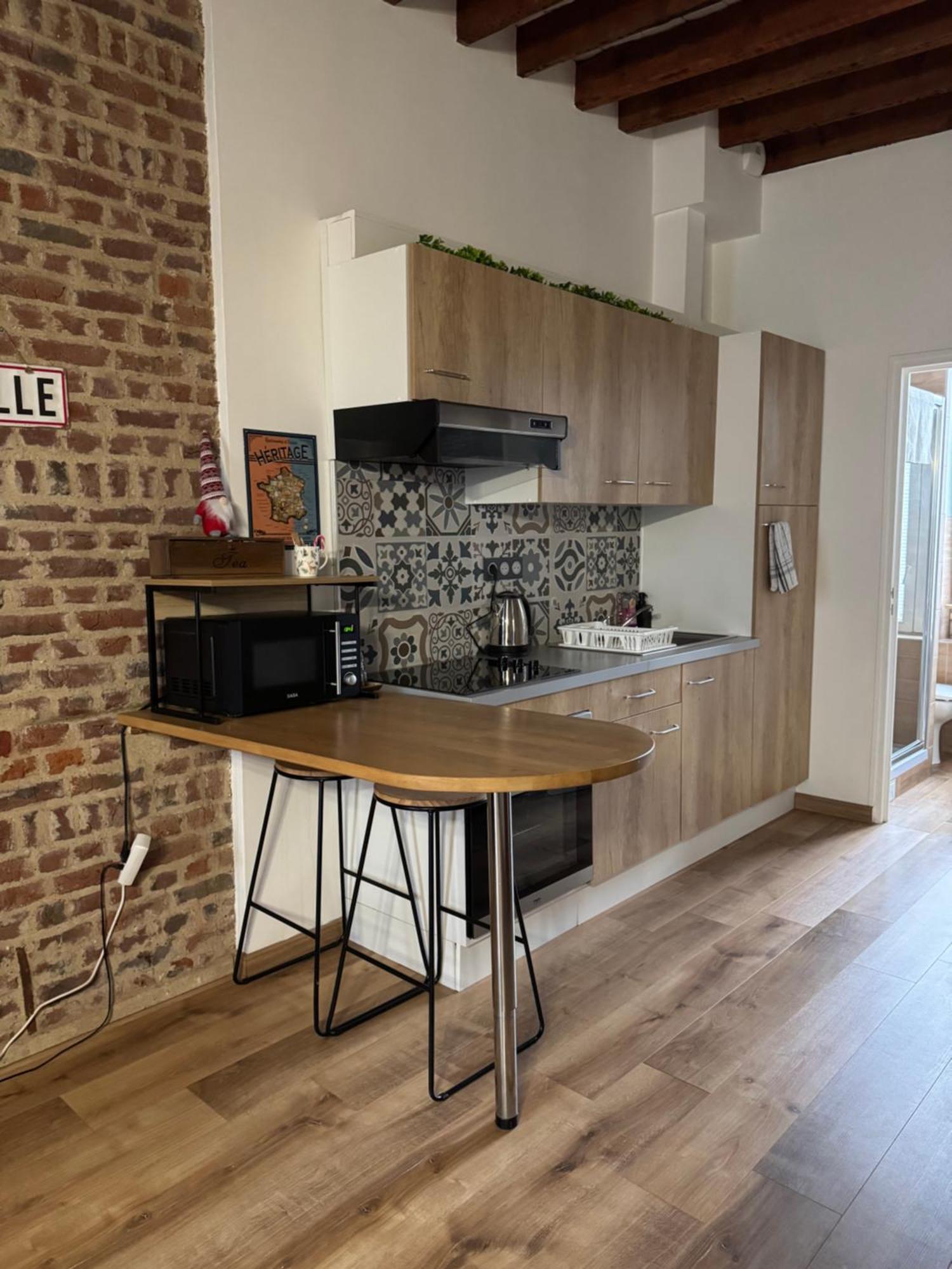 L'Ile Aux Ch'Tis Apartment Lille Ngoại thất bức ảnh