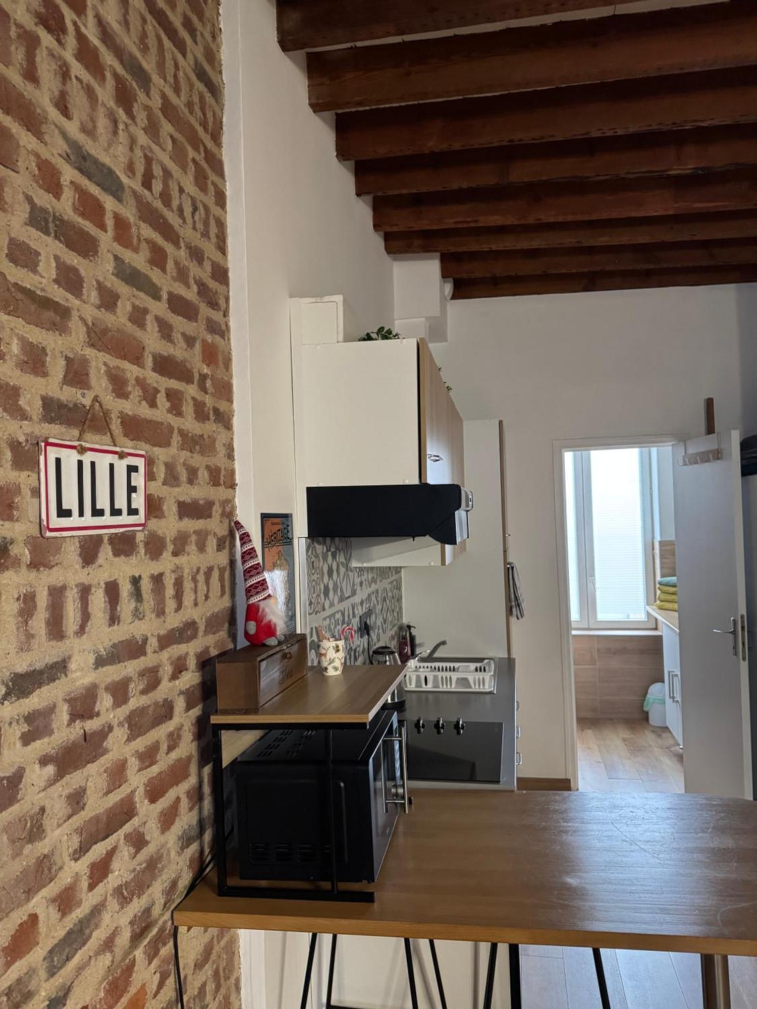 L'Ile Aux Ch'Tis Apartment Lille Ngoại thất bức ảnh